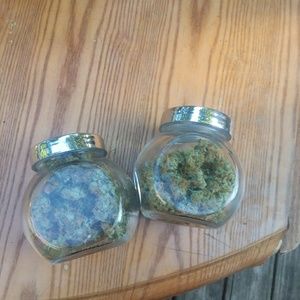 Meet your Posher, Jesse